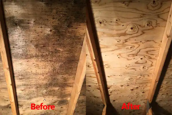 water damage restoration service La Center